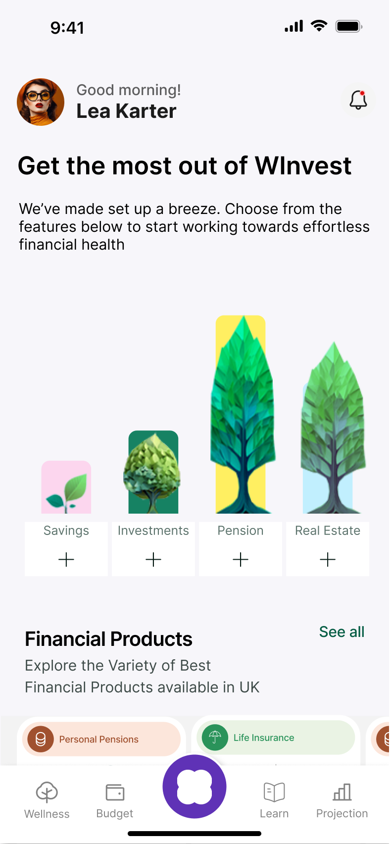 HOME SCREEN post bank connection (for second time user)
